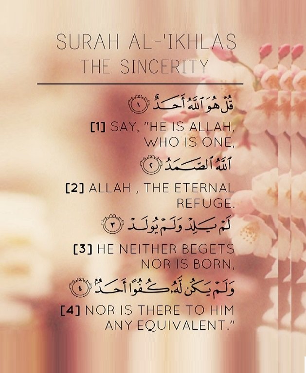 علي رضوان ابراهيم tweet media