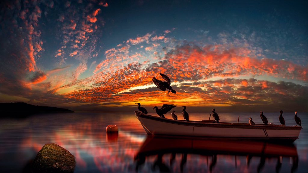 Estrella51Ahora's tweet photo. Have a pleasant &amp; peaceful evening 
Twitter-Friends!🌟 https://t.co/rGc1Q14vNF