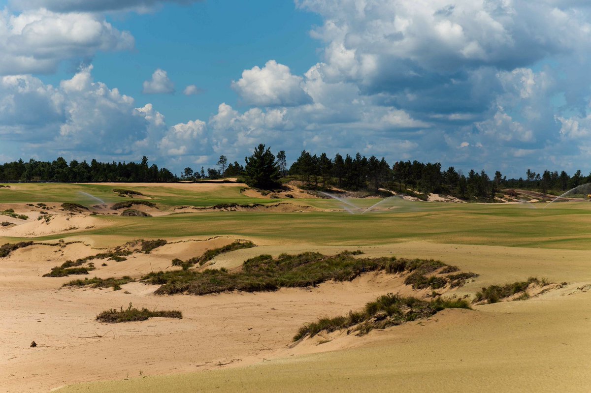 DavidMcLayKidd's tweet image. Germination, shadows and a rich sky make for some great construction pics @KrahenbuhlCasey @Sand_Valley