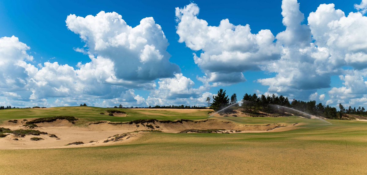 DavidMcLayKidd's tweet image. Germination, shadows and a rich sky make for some great construction pics @KrahenbuhlCasey @Sand_Valley