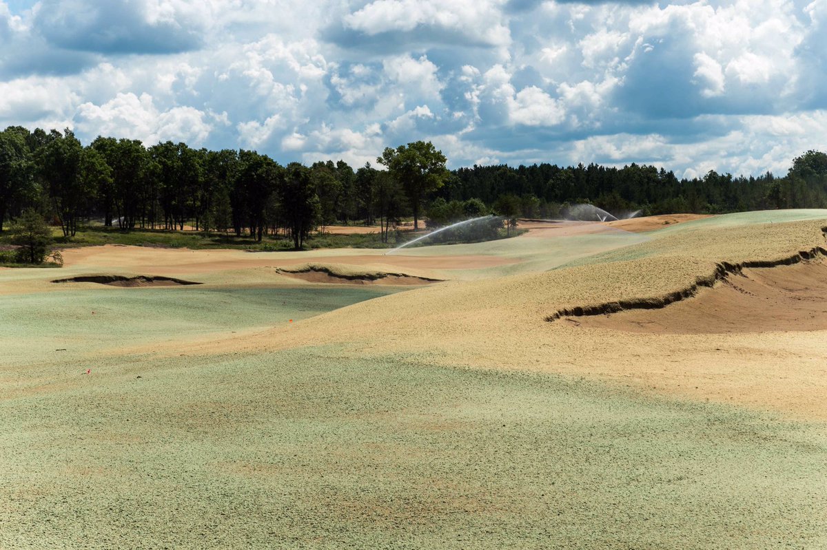 David McLay-Kidd (@davidmclaykidd) on Twitter photo Germination, shadows and a rich sky make for some great construction pics <a href="/KrahenbuhlCasey/">Casey Krahenbuhl</a> <a href="/Sand_Valley/">Sand Valley Golf</a> Germination, shadows and a rich sky make for some great construction pics <a href="/KrahenbuhlCasey/">Casey Krahenbuhl</a> <a href="/Sand_Valley/">Sand Valley Golf</a>