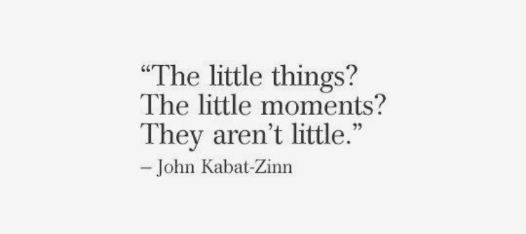 marvelintravel's tweet photo. ❤️👇🏻 ...They aren't little. https://t.co/lEGy6Q2cLV