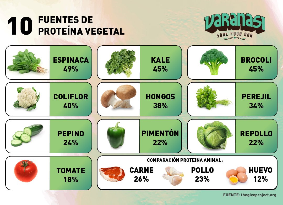 Cual es la proteina vegetal