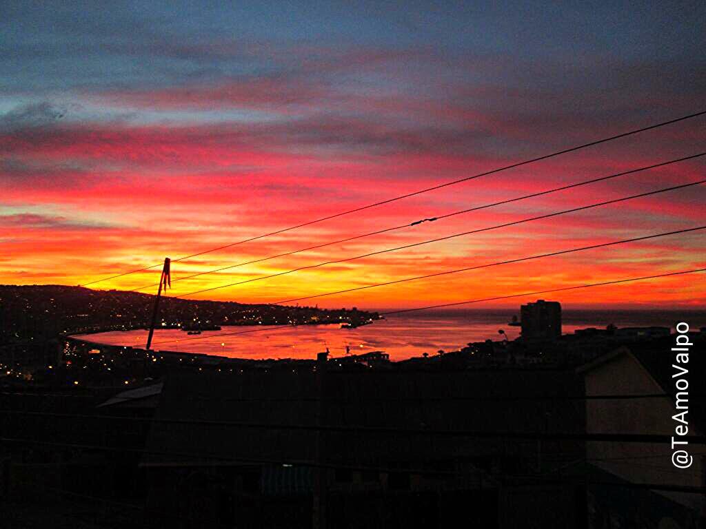 TeAmoValpo's tweet photo. La magia de Valparaiso desde el Cerro Larrain
"La Joya del Pacifico"
#Chile https://t.co/FxPvm76vYk
