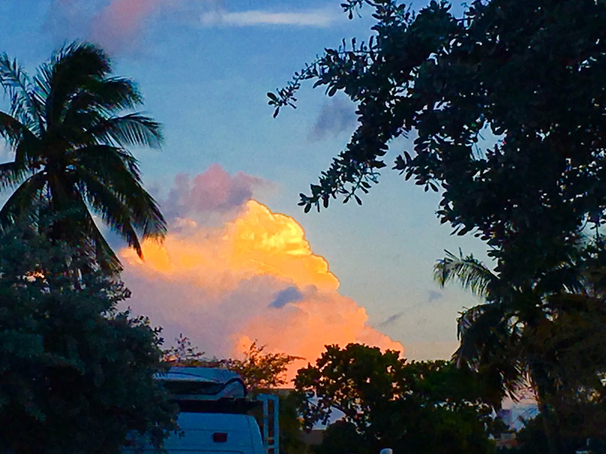 Phil Ferro tweet media