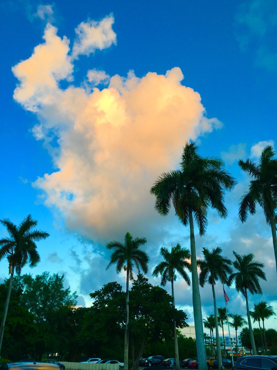 Phil Ferro tweet media