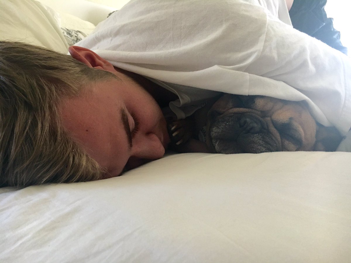 delray__'s tweet photo. Whyyyyy they gotta be so cute when I leave for work 😭 https://t.co/U2P8z8nYiL