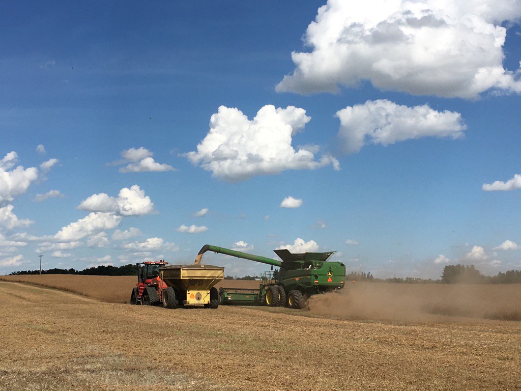 VickiDutton1's tweet image. Pea harvest begins in central oAlberta.