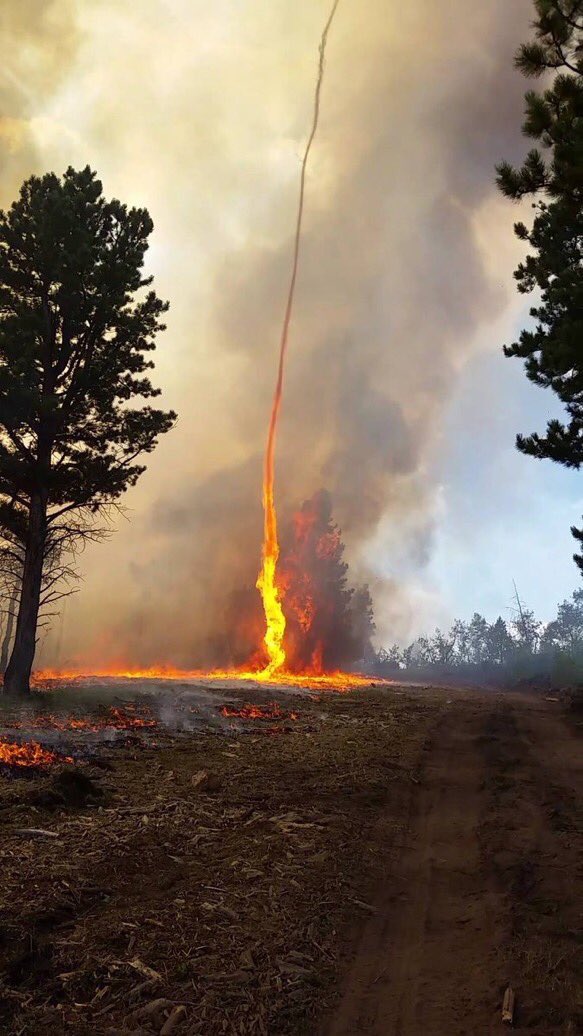 wmwutv's tweet photo. Firenado forms in Beaver Creek fire near Colorado-Wyoming border https://t.co/zEsxfsvdq0