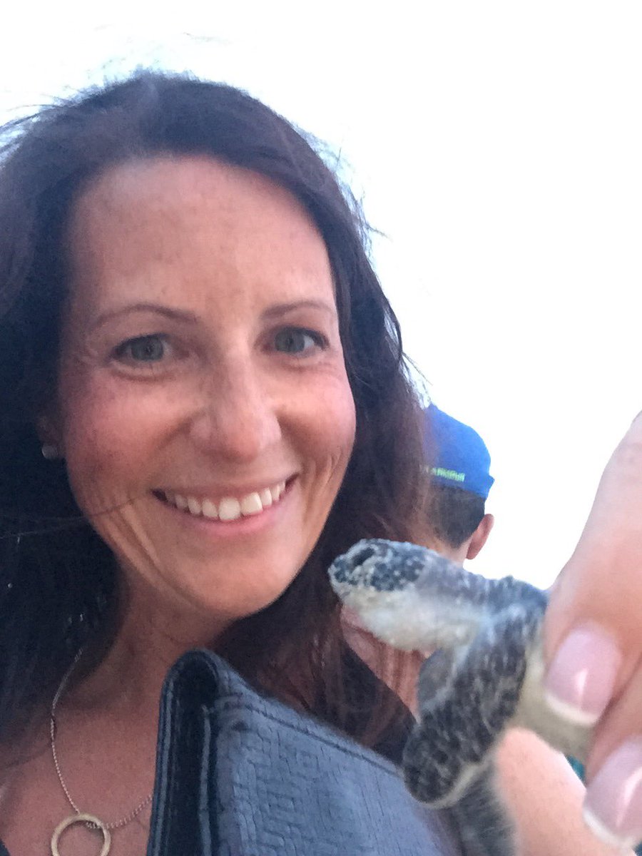 kirstyhambo's tweet photo. #turtlefun https://t.co/wJ738yR94C