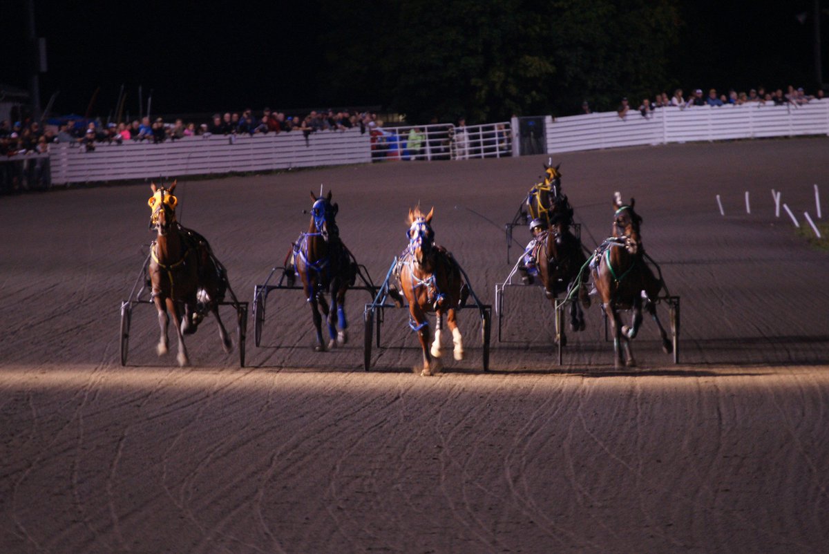 Mozartsplace's tweet photo. Gold Cup &amp; Saucer Trial #2 winner #GoDaddyGo is
a McIntosh x McIntosh
(Ponder x Artsplace) like me🐴👍

#HarnessRacing https://t.co/gXXTh3m0T6