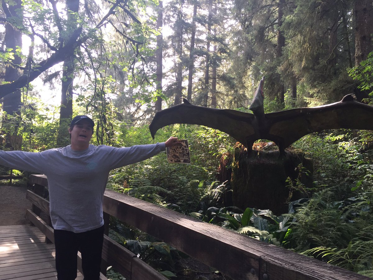 kellloren's tweet photo. "I should make an Instagram drew loves Dino's" https://t.co/iI8RIZUKFx