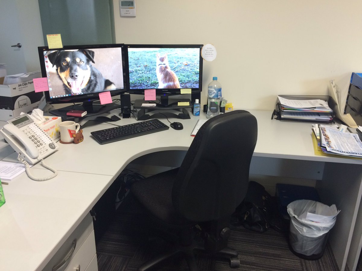Jessa_Lynch's tweet photo. My desk. I'm doing my internship at my regular full-time job. @CurtinPRdegree #PRinternship #PUBR3002workspaces https://t.co/lMtQEIT6eC
