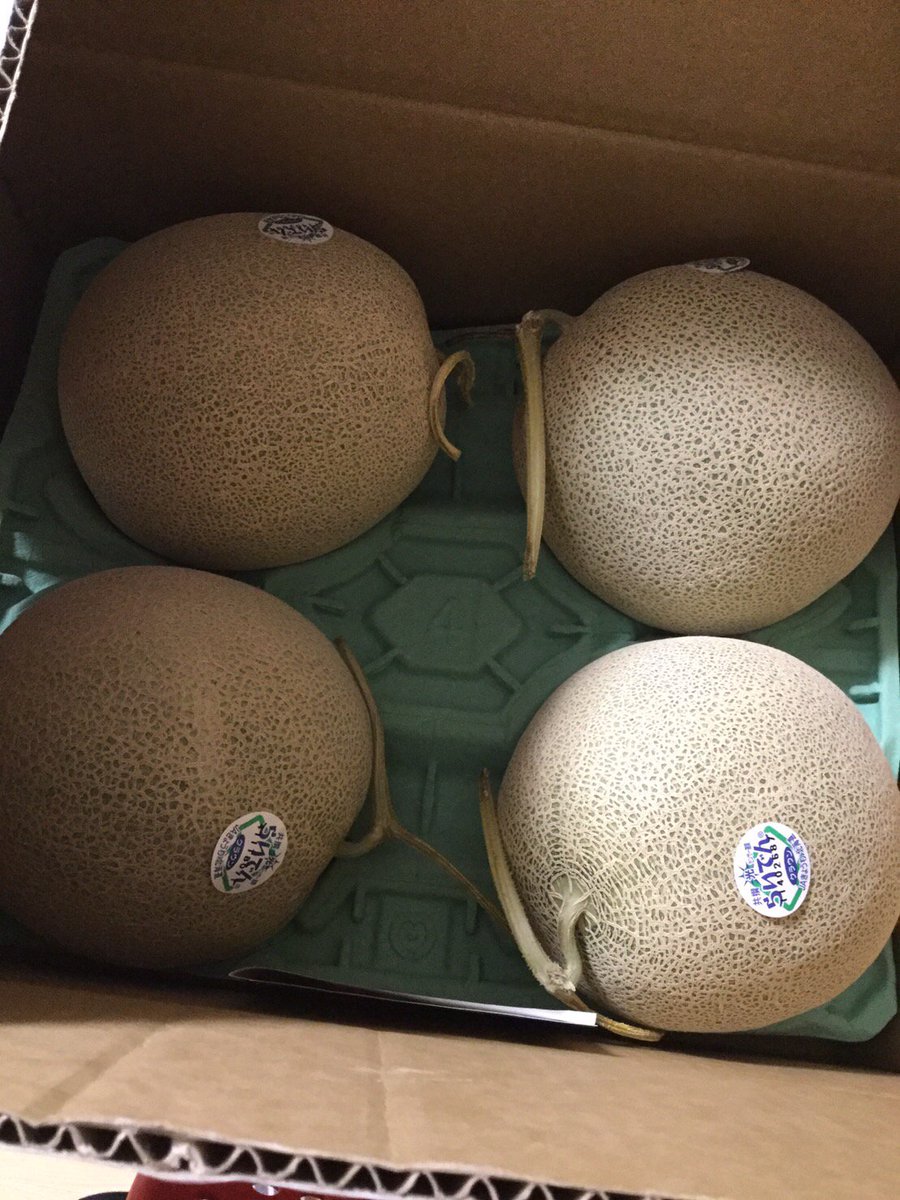 arksharepudding's tweet image. オーナーさんから暑中見舞いのメロンが届きました！
ハウスのみんなでいただきます♪