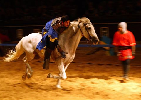 CastilloSMiguel's tweet photo. En los juegos medievales los caballeros pondrán a prueba la destreza sobre sus caballos https://t.co/uroXVu17TZ