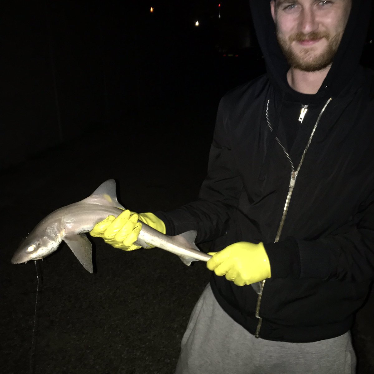 ukshoreangling's tweet image. 