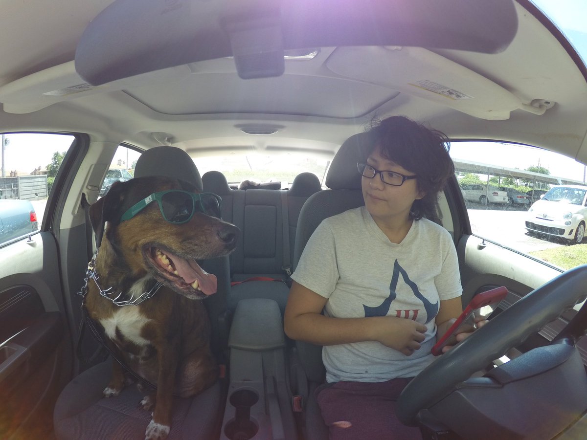 NapoliPowerlift's tweet photo. What's up, Jack? Where are we going?
#GoPro #goprohero4 #GoProChat https://t.co/NPp0opGsnv