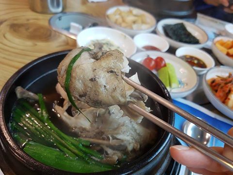 #말복 에는 역시 삼계탕
 삼복에 지친 페친님 
 오늘 꼭 몸보신하세요