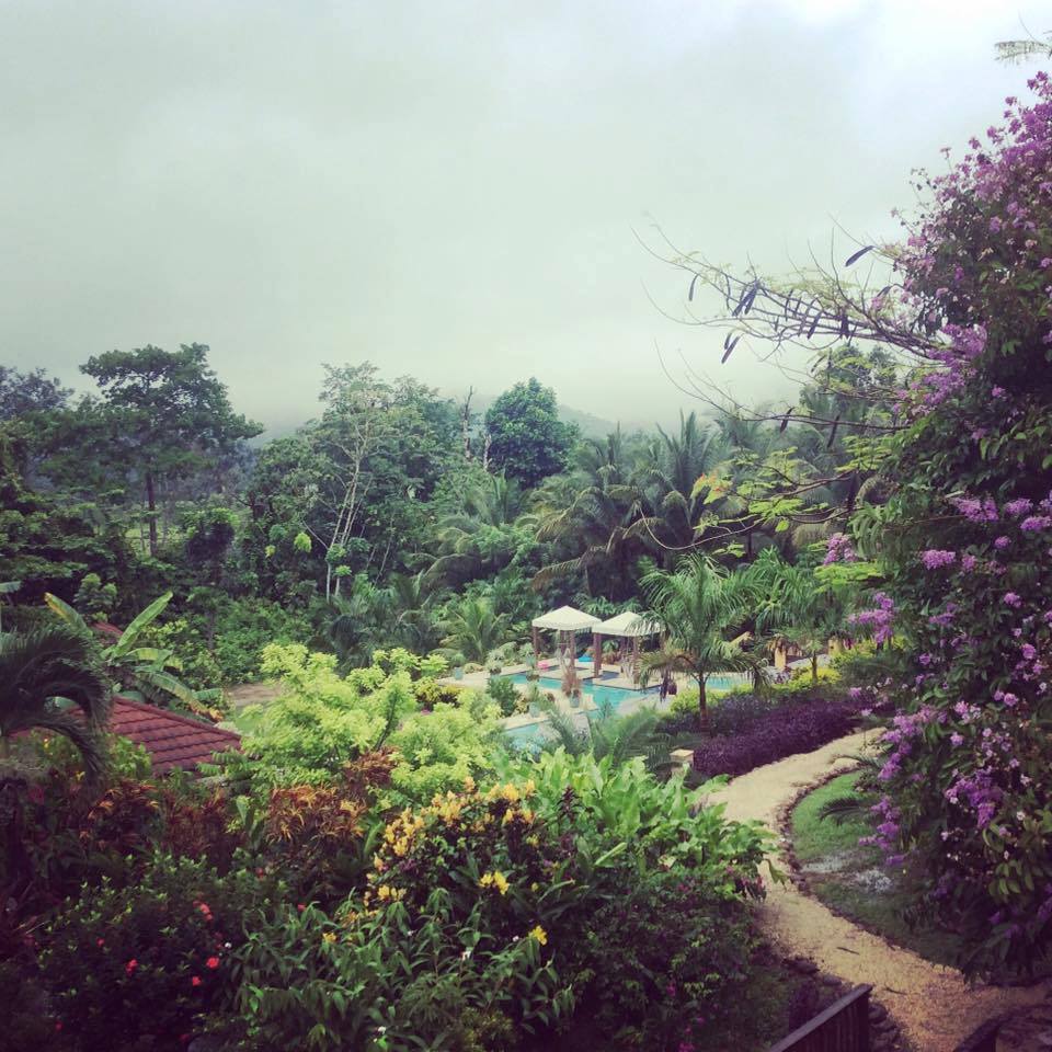 At Absolute Belize, we always recommend seeing the rainforest and the reef. #SleepingGiant ow.ly/2u1B303dfiM