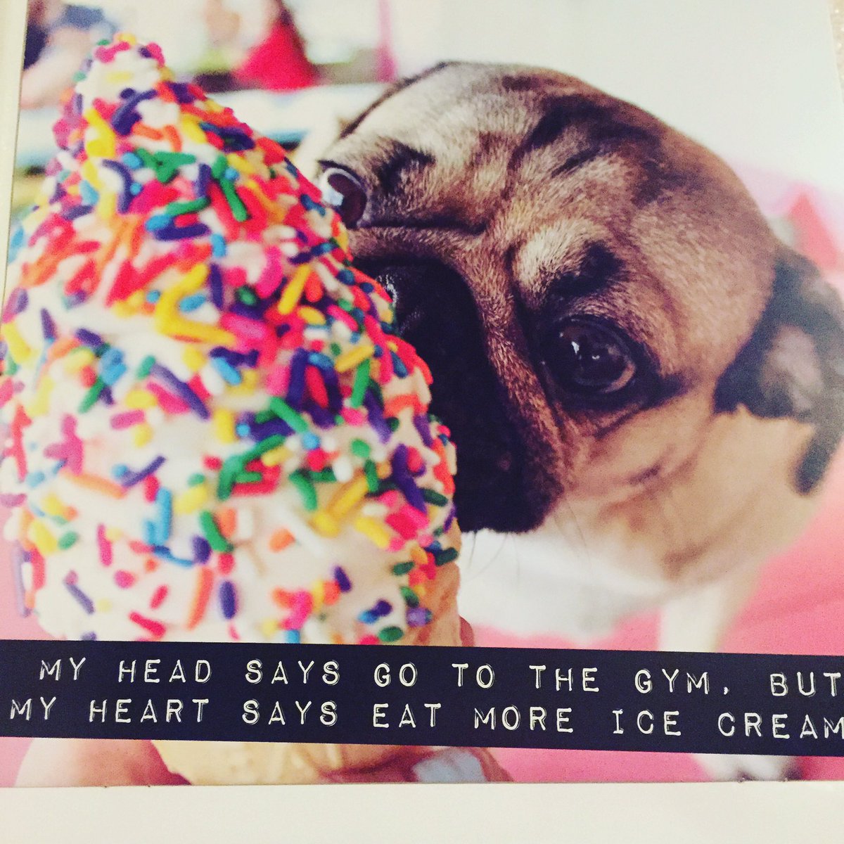 BeerVirgins's tweet photo. So true https://t.co/WkUtgL1Lbg