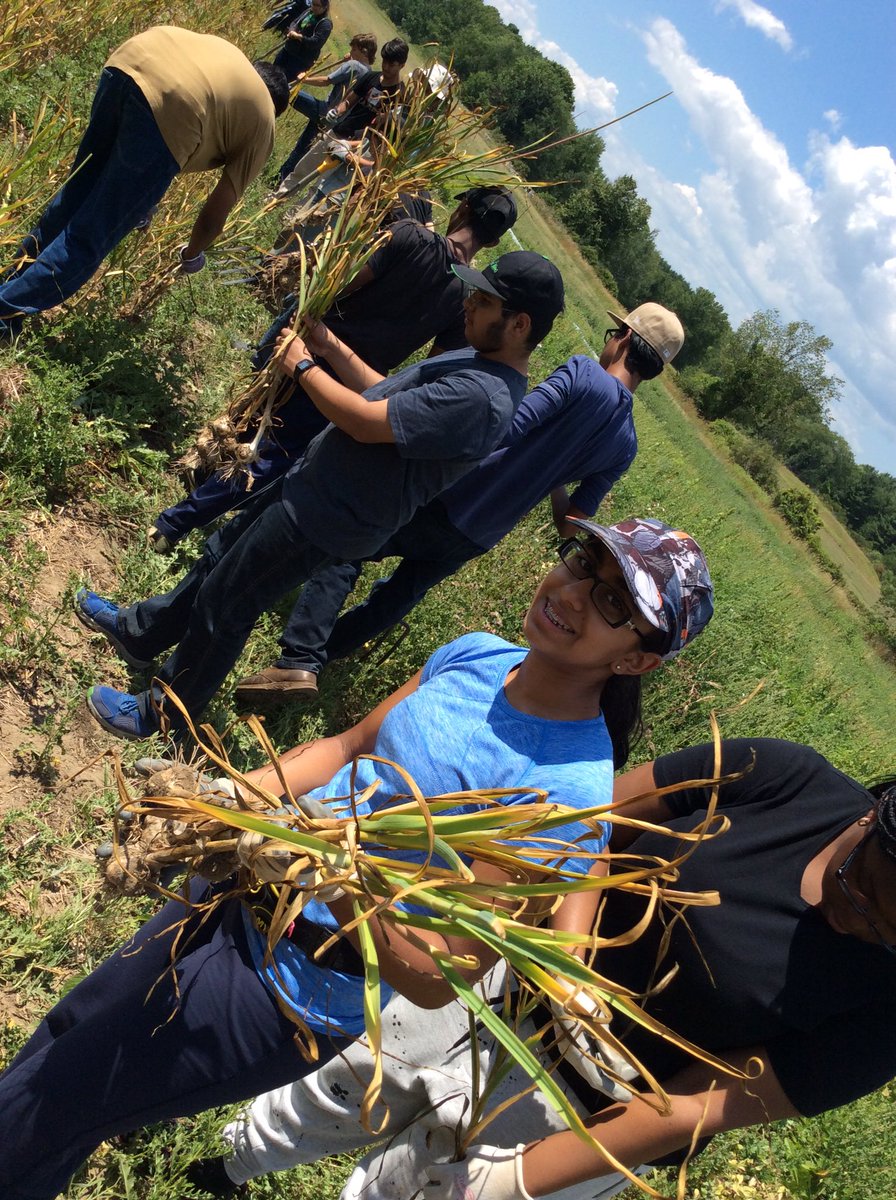 TRCA_Stewards's tweet photo. These #TRCACYC Peel Volunteers can't be beat by the heat this week! https://t.co/KqUuN1Z8B6