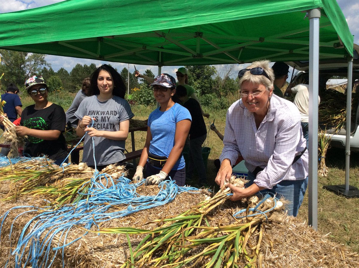 TRCA_Stewards's tweet photo. Thanks @AHCommunityFarm from our #TRCACYC volunteers. The kids said they were smelling garlic all night! https://t.co/JVrP6cuDPr