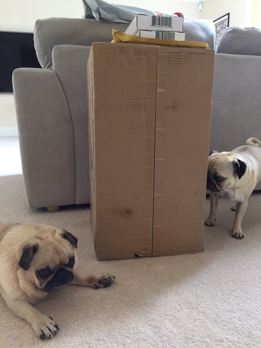 dantdm's tweet photo. The mystery box has arrived..! https://t.co/PAl6xgVuak