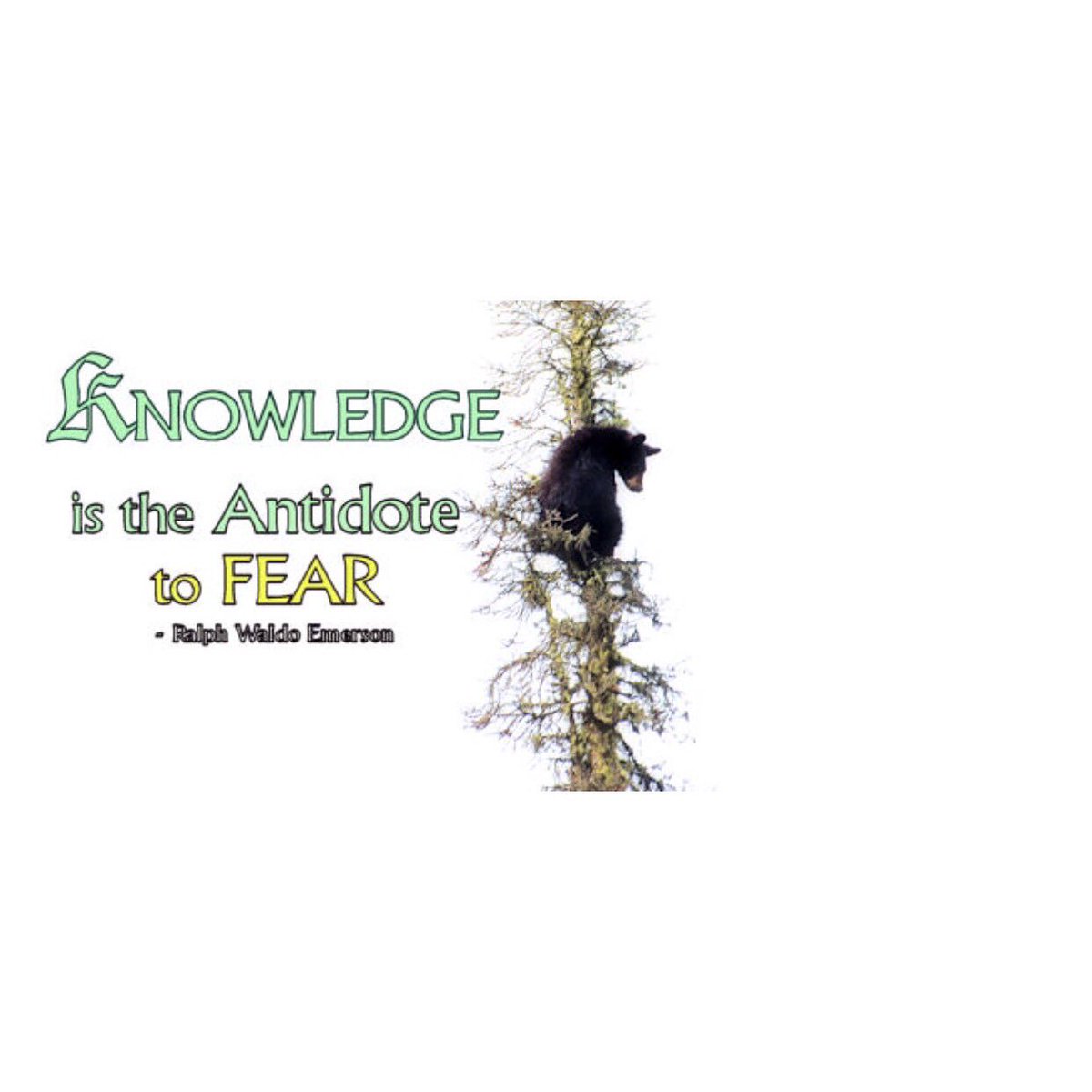 LDStuth's tweet photo. #Iamgratefultobealive  #Iamalive #Deadoralive #Illusionofknowledge #Antidotetofear #TrueKnowledge #putitintopractice https://t.co/Pp1nf4uRDI