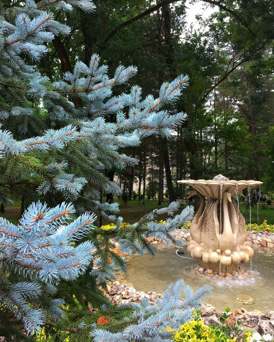 Haftasonu dinlenmek isteyenler burada mı?
#ngsapanca #nghotels #sapanca #gelmenlazim #termalotel