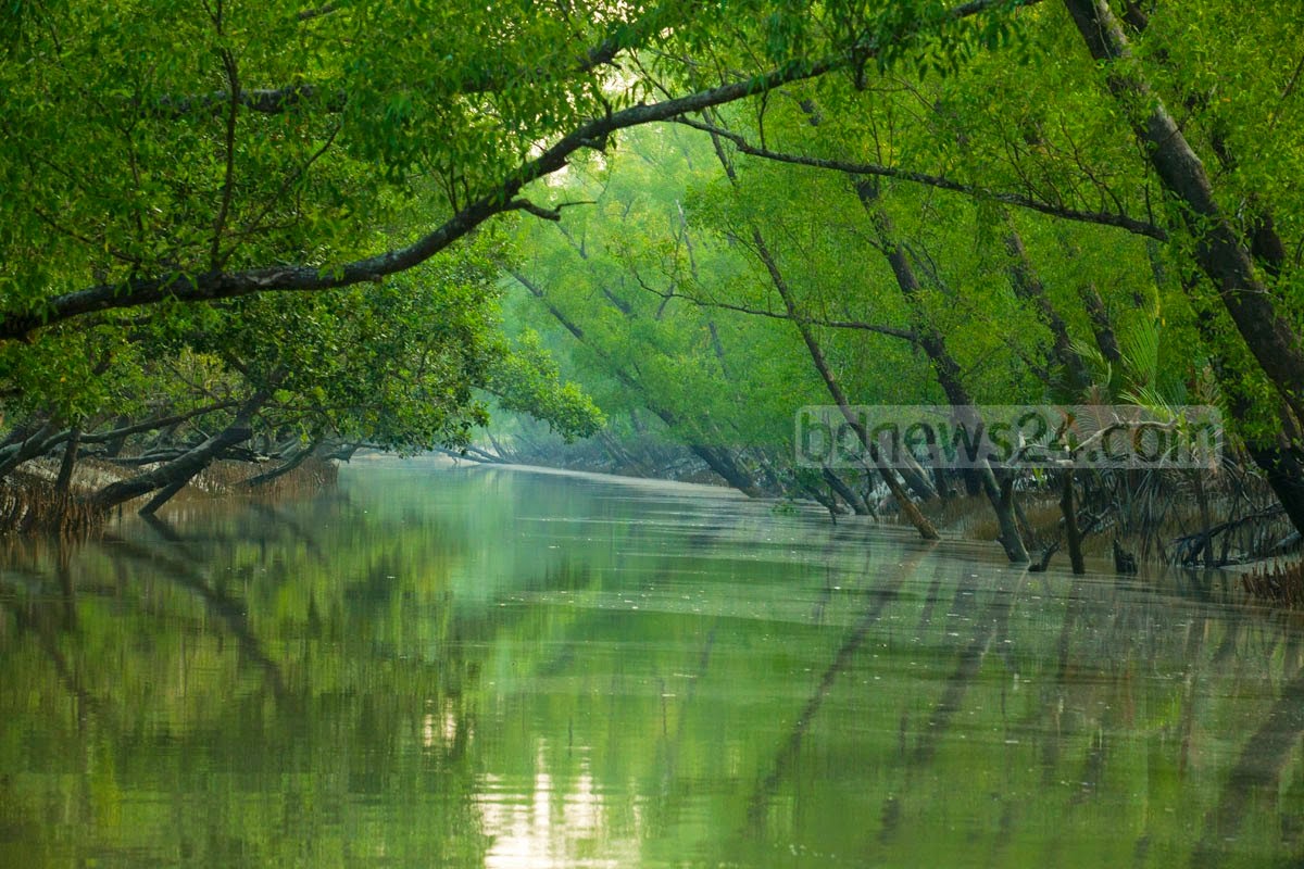 bdctgahammad's tweet photo. #WeLoveSundarban
#SaveSundarban
#SaveBangladesh
#StopRampalPowerProject https://t.co/F5otv27oRQ