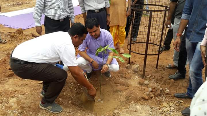 ivishalthacker's tweet image. ભુજ નગરપાલિકા દ્વારા સરકારી વસાહત  મધ્યે વુક્ષારોપણ #SelfieWithATree #selfiewithplant @narendramodi @ChaudhryShankar