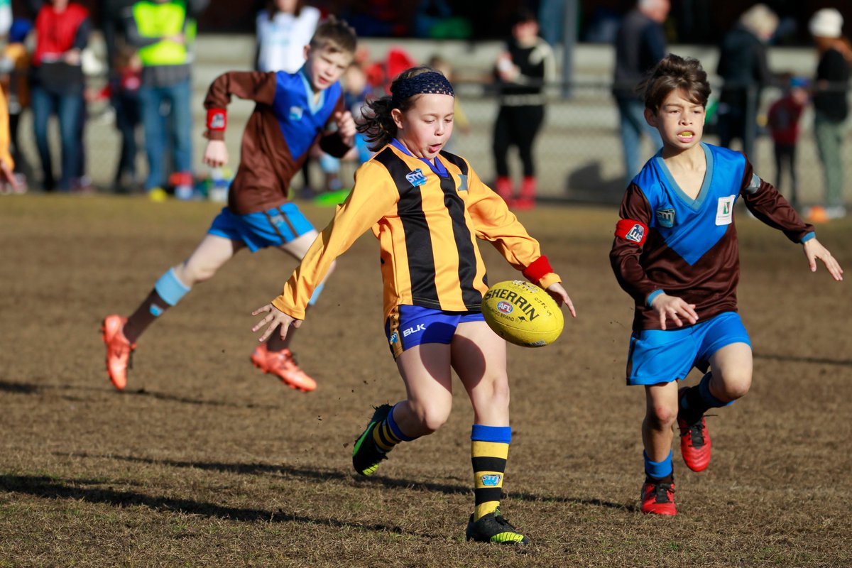 MementoSports's tweet photo. Photos from @gozebs Under 9s Lightning Carnival at Toorak Park 
https://t.co/XRjQihiCss https://t.co/jpZO5BmWEc