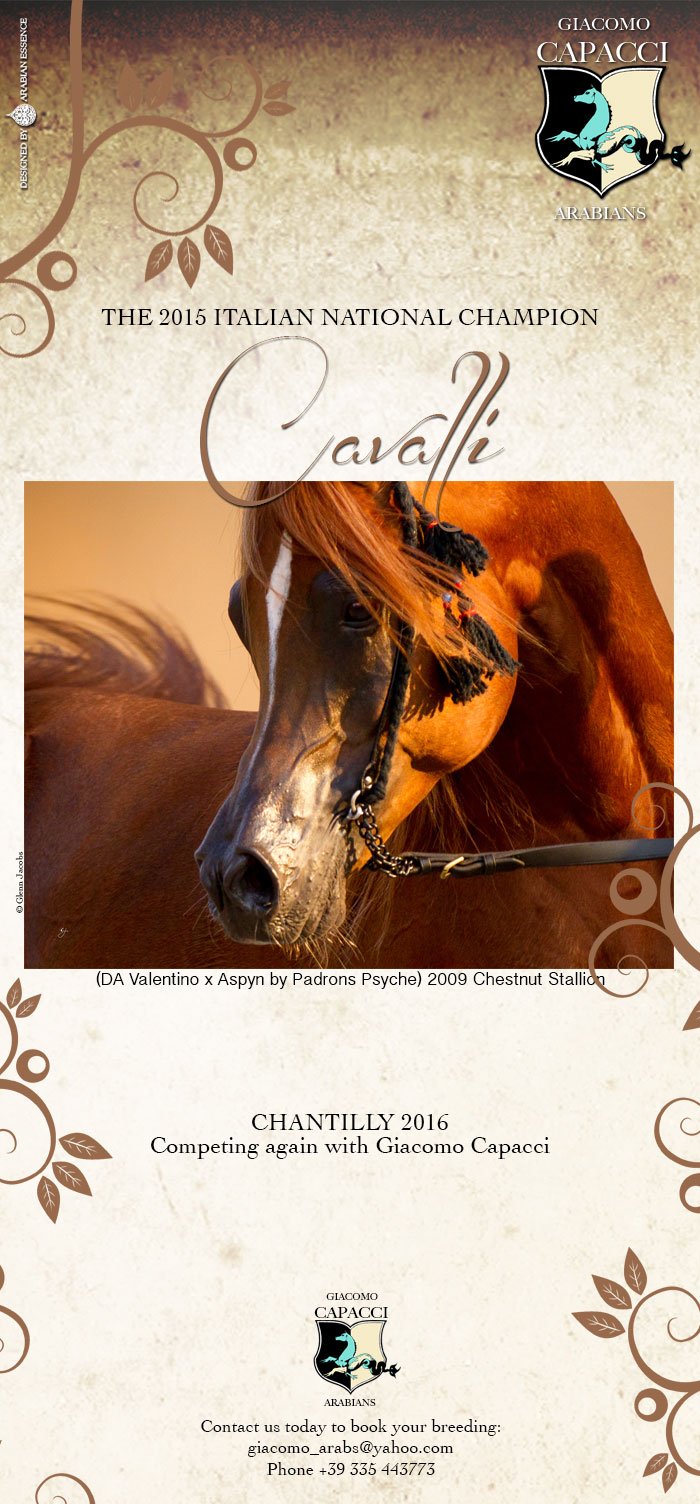 Arabian Essence on X