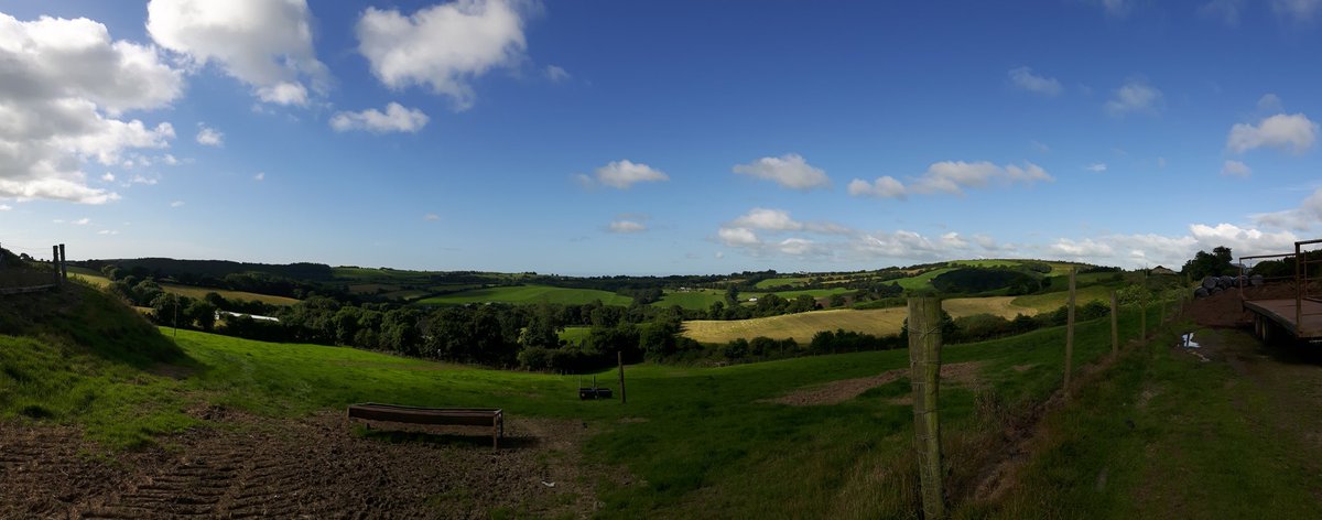 MagnerEimear's tweet photo. Fantastic morning here in Kilbrittan, Co. Cork https://t.co/p0tx1EUU8M