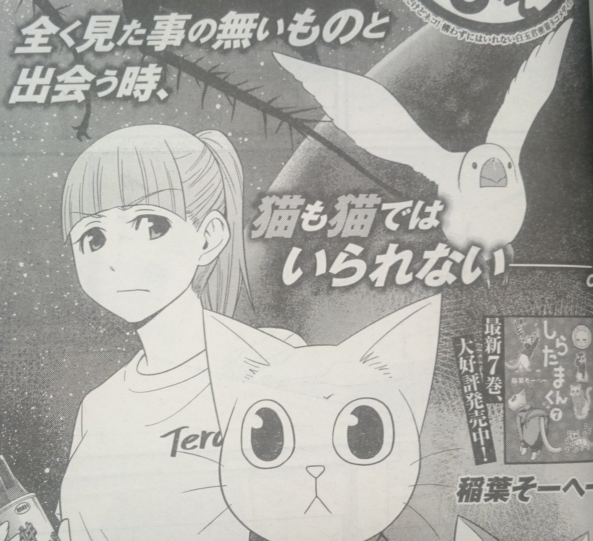 ট ইট র 週刊ヤングジャンプ編集部 しらたまくん 本日発売のyj36号 第97話 G では 白玉君も 既知 との遭遇を果たします 電子版最新7巻は8月19日より配信開始です T Co M97f9n4usd