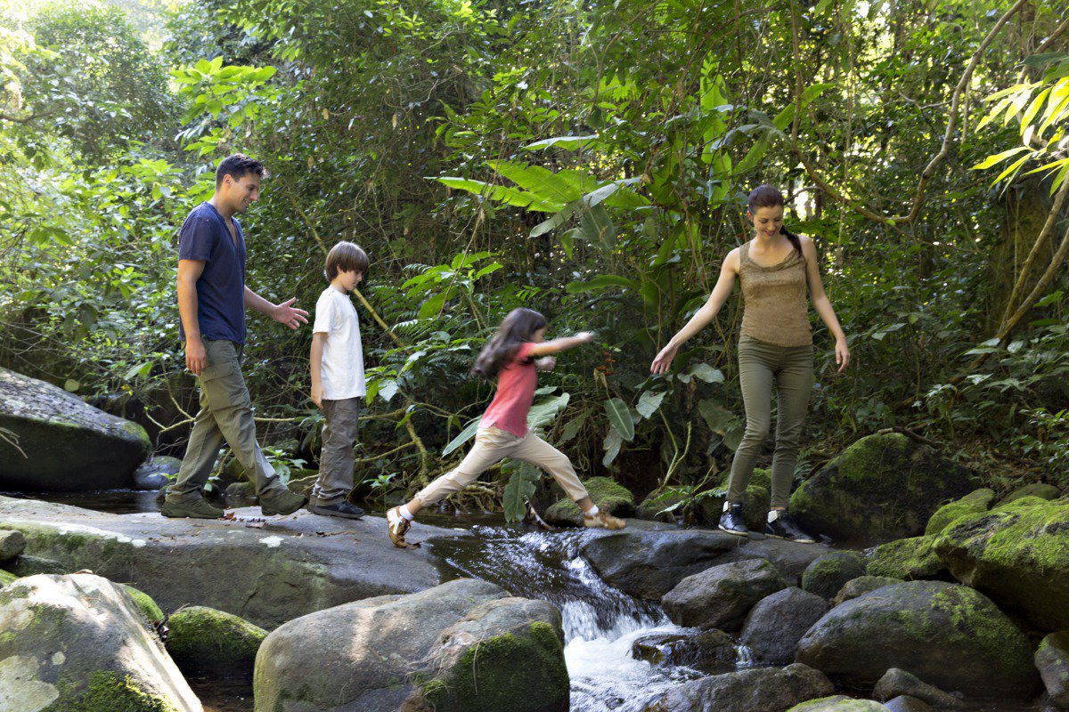 Mata atlantica: la foresta pluviale brasiliana da non perdere clbmd.co/PRyKlr