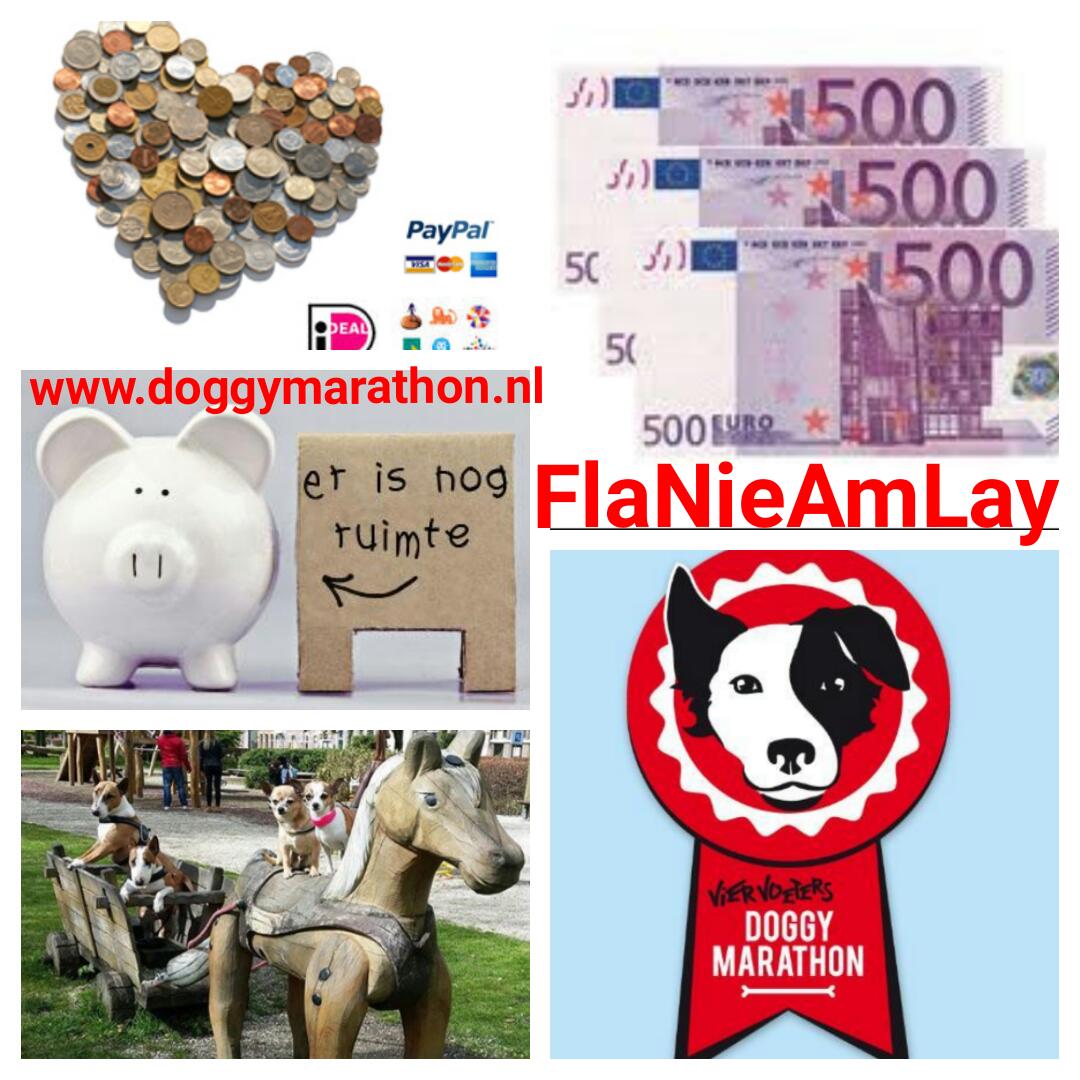 FlaNieAmLay's tweet photo. We zijn echt goed bezig! Weer een donatie voor ons team#doggymarathon#team FlaNieAmLay https://t.co/H5w7hGkiqu