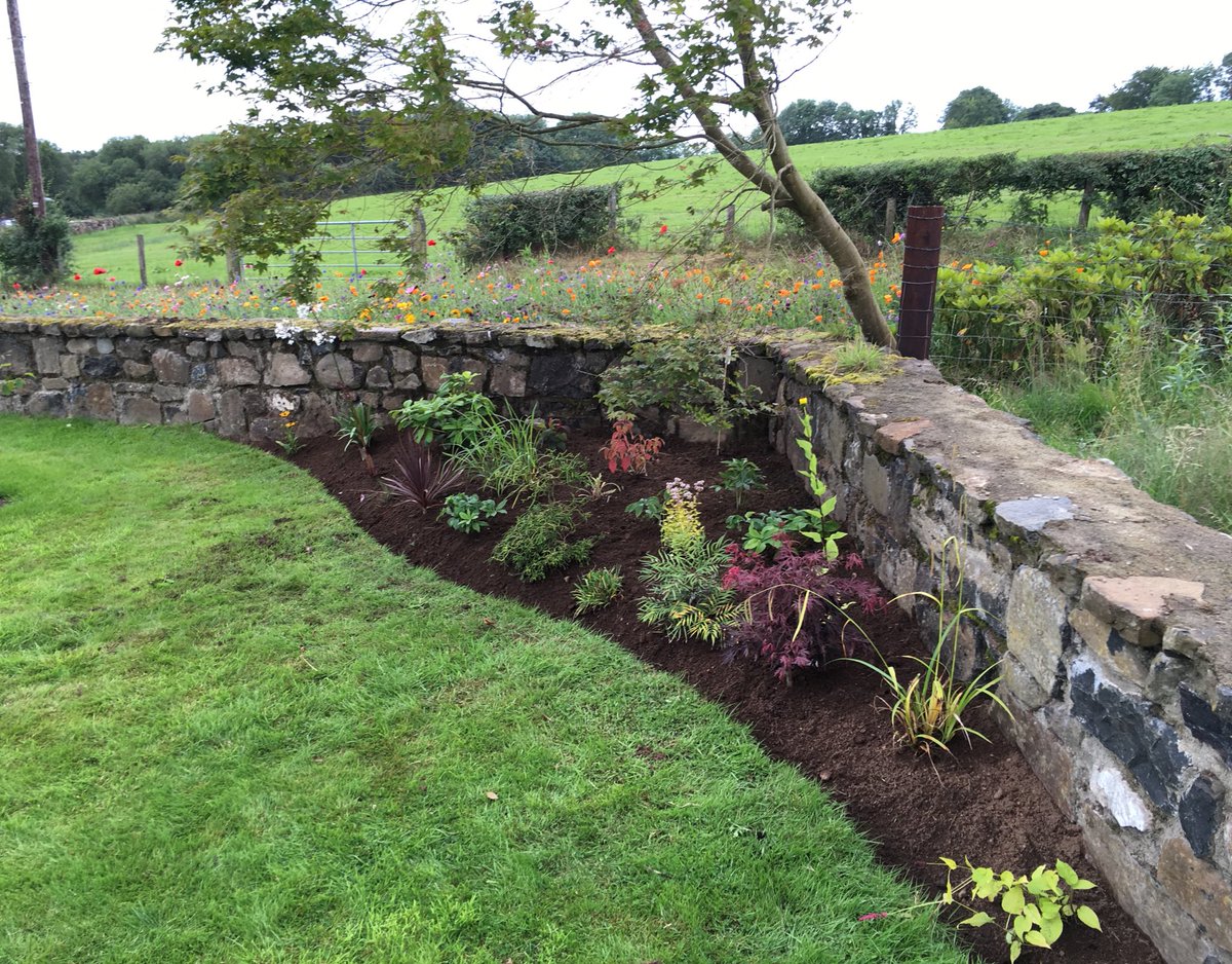 eoin_mcguigan's tweet photo. My newest border. Dappled shade. A bit of this and a bit of that.#MoreWeeding https://t.co/8e6wXP0TyG