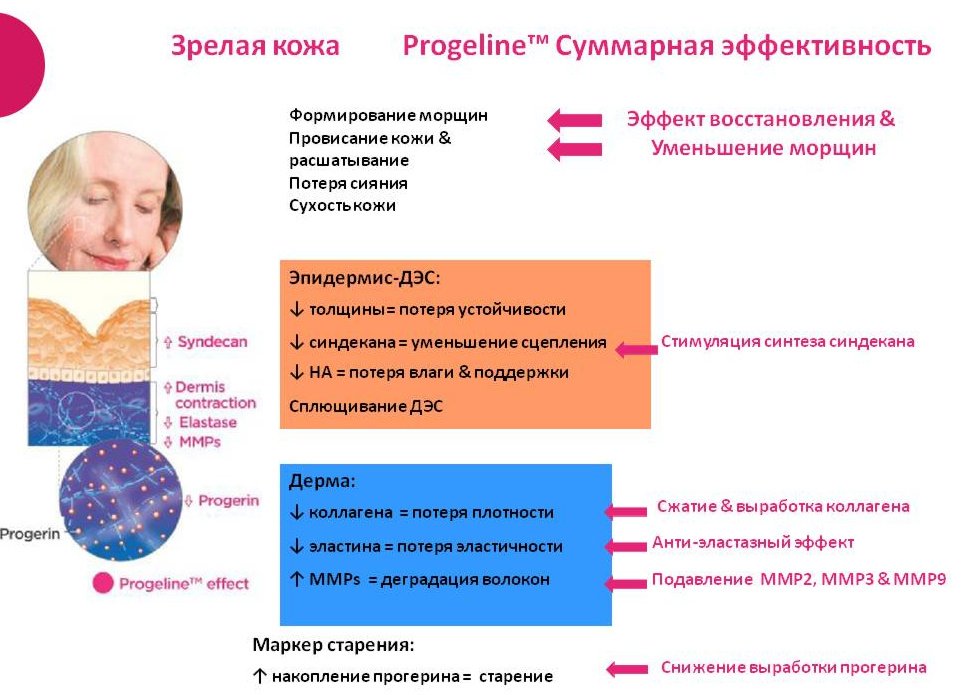 ResedaOdor's tweet photo. #Progeline-#antiage #актив.Продлевает молодость кожи,способствует сохранению структур #кожи и останавливает старение https://t.co/EsR9mcJZeK