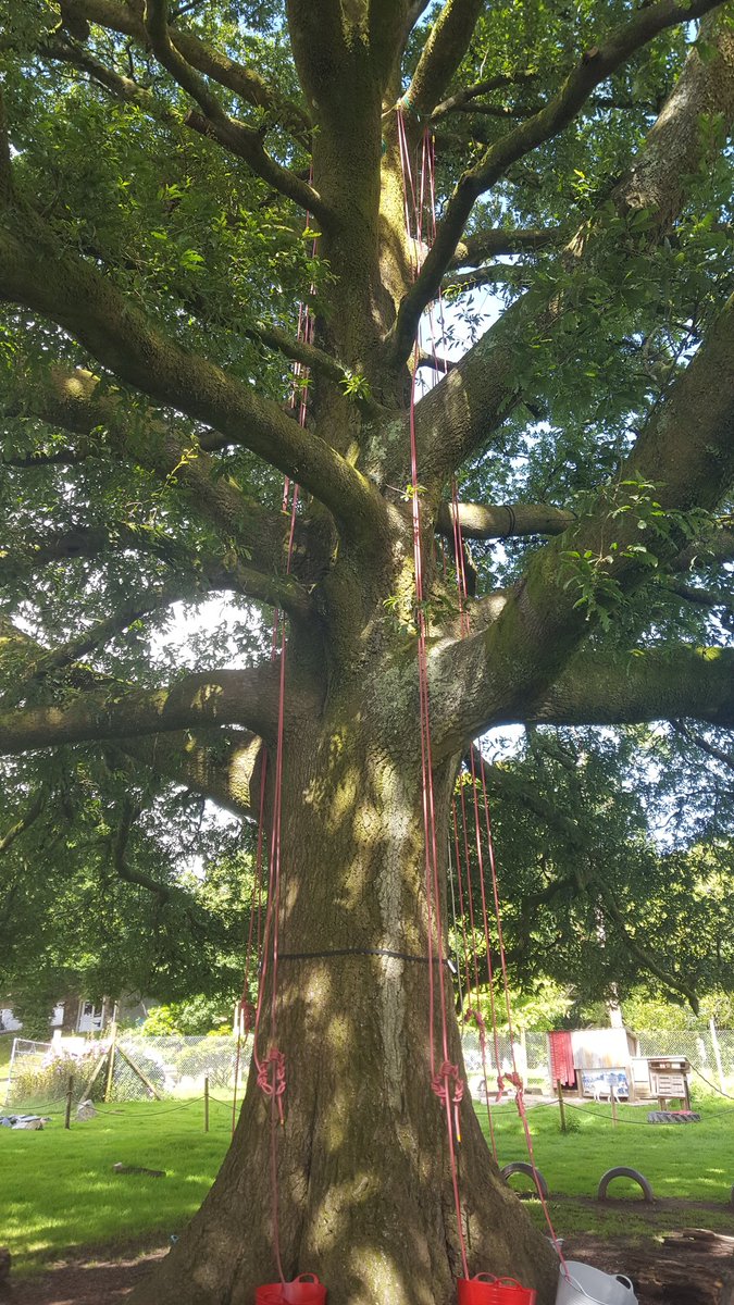 Dartmoor Zoo (DartmoorZoo) Twitter