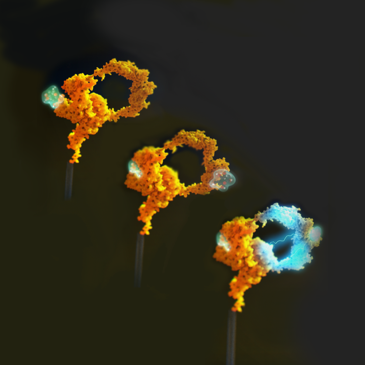 Siro Perez tweet media