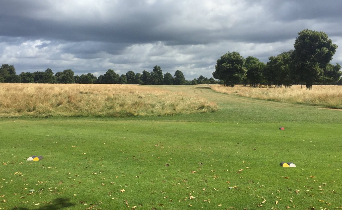 HamptonGC's tweet photo. 11th tee 291 yard drivable par 4! Are you brave enough?? RT if you are #noclubsnoprobs #dontmiss #driver @CrownGolf https://t.co/nCtuhwemLQ