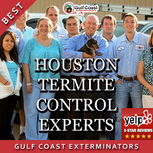 GCEPests's tweet photo. #Termite Control #Houston Company Gulf Coast Exterminators is the best, Yelp 5 Stars https://t.co/Gh2CYO1pVo https://t.co/am26tt9nbz