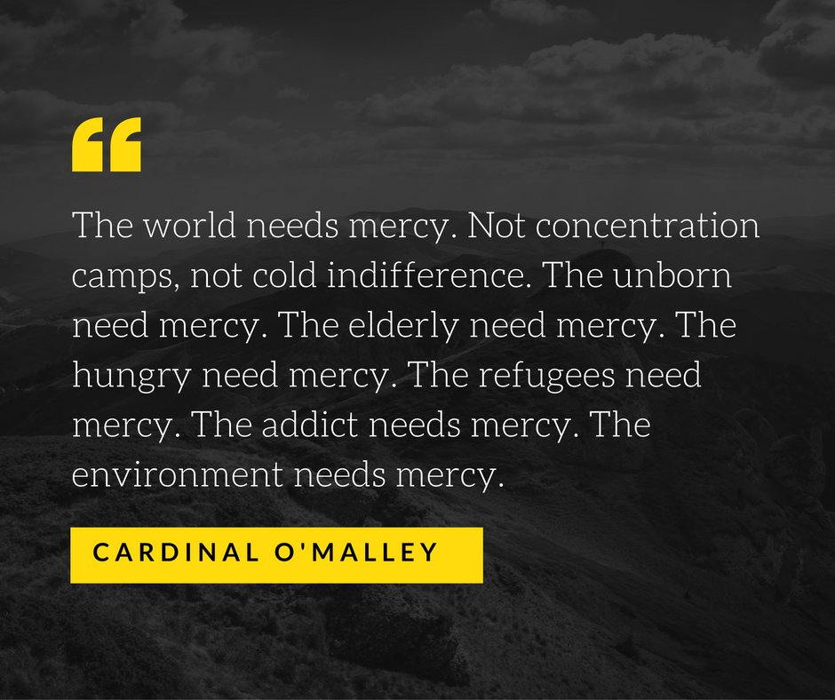 USCCB's tweet photo. At World Youth Day in Poland, @CardinalSean told pilgrims to work for a culture of life and mercy. https://t.co/X4URY4b3Cp