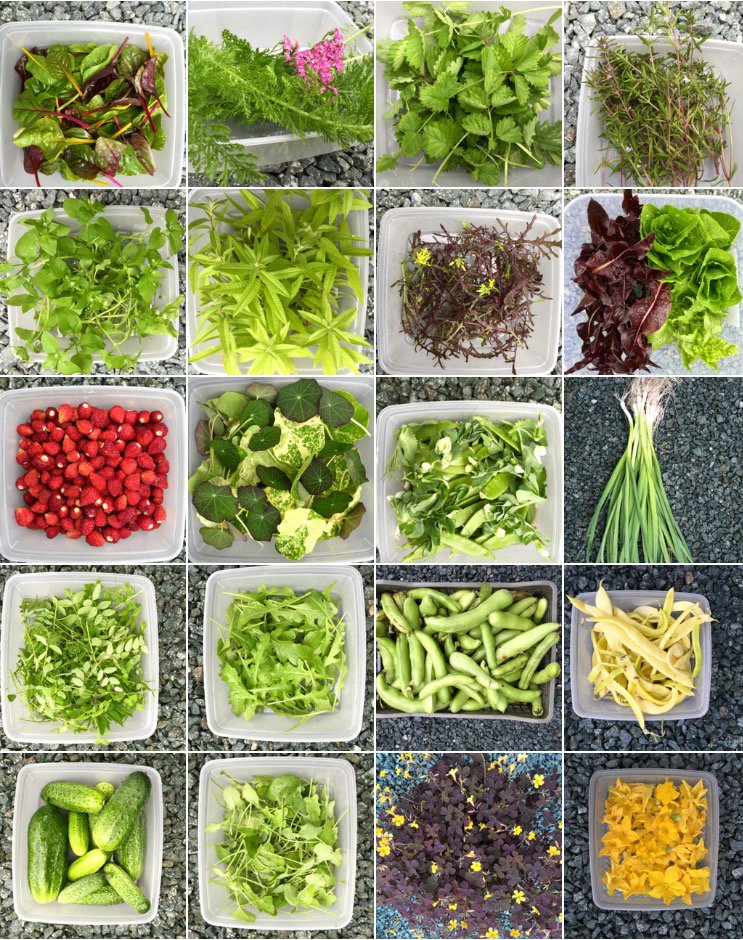 Lake Road Kitchen tweet media