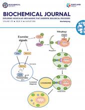 epub genetic programming theory and practice