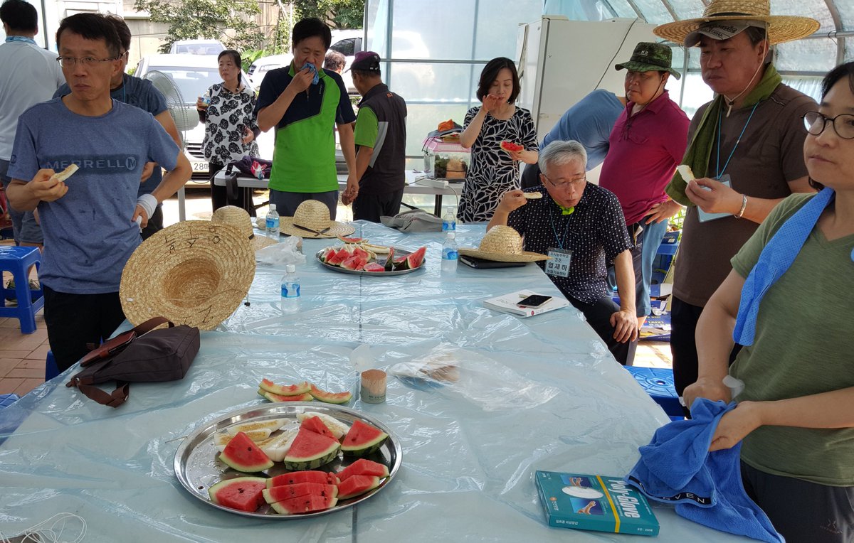 #성남시농업기술센터 #도시농부학교 
배추 씨앗 파종후 이어진 텃밭작물관리.
폭염주의보속 흠뻑 흘린 땀방울도 직접수확한 수박 참외한입으로 싹~
#성남시 #텃밭지도사