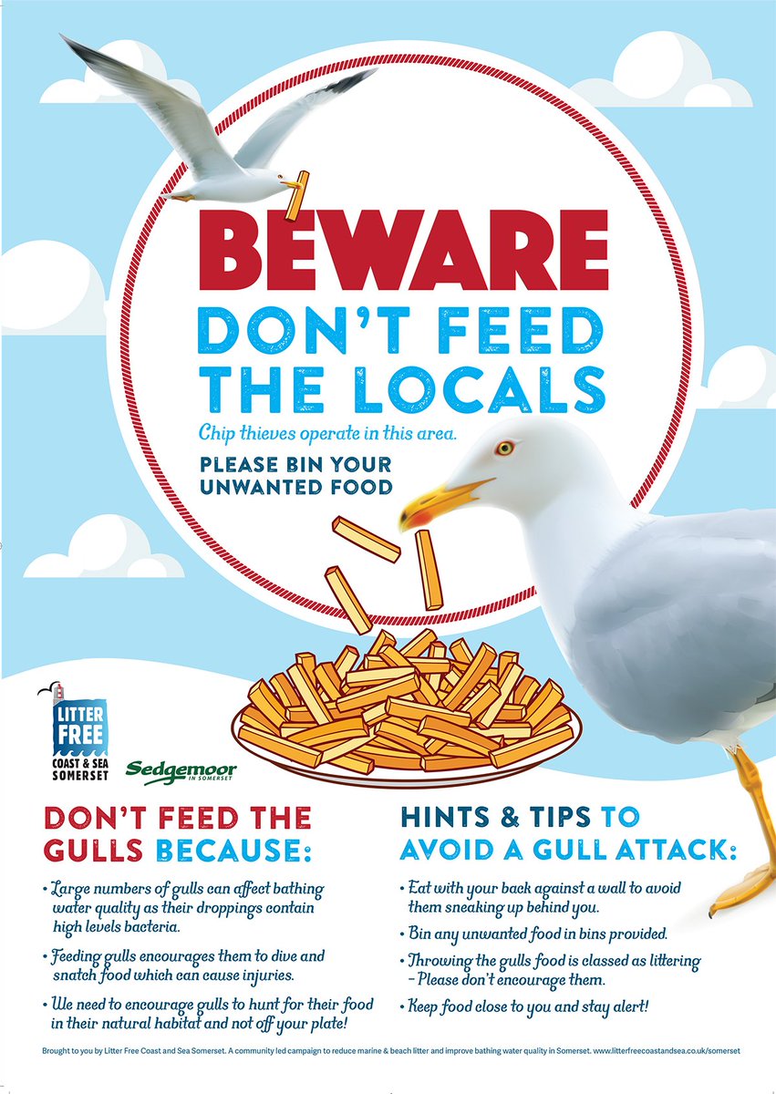 SedgemoorDC's tweet image. We’re supporting @lfcssomerset in their #dontfeedthelocals campaign. Join us &amp;amp; help keep #birdpoo out of the sea