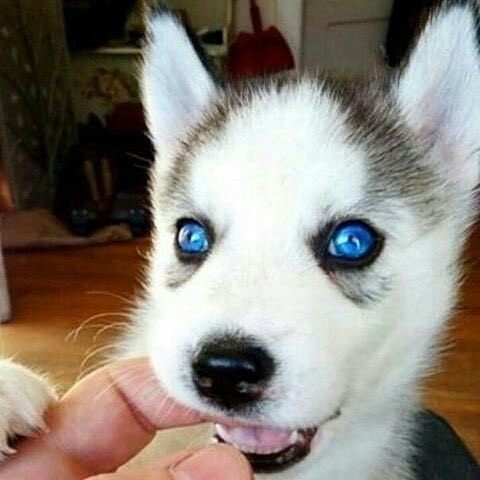 247razz's tweet photo. She's got eyes of the bluest sky as if they thought of rain. I'd hate to look into those eyes &amp; see an ounce of pain https://t.co/QrRiuuQqHA
