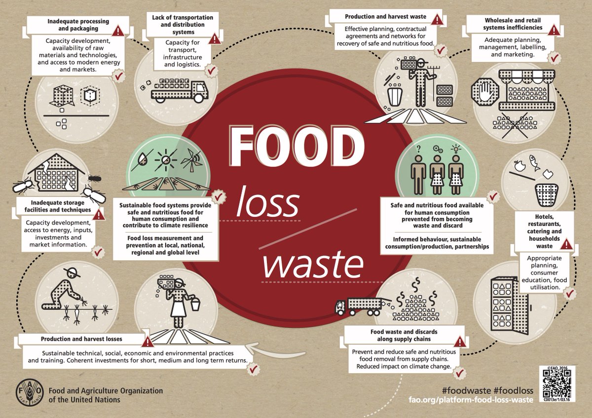 FruitspotCo's tweet photo. ~50% fruits/vegs in the world are wasted. Learn more from our partners at @FAOnews @UN #foodwaste #foodloss https://t.co/KiDN6Vw4Ny